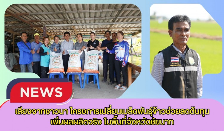 เสียงจากชาวนา โครงการเปลี่ยนเมล็ดพันธุ์ข้าวช่วยลดต้นทุน–เพิ่มผลผลิตจริงในพื้นที่จังหวัดชัยนาท
