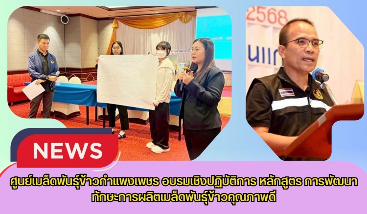 กำแพงเพชร-ศูนย์เมล็ดพันธุ์ข้าวกำแพงเพชร อบรมเชิงปฏิบัติการ หลักสูตร การพัฒนาทักษะการผลิตเมล็ดพันธุ์ข้าวคุณภาพดี