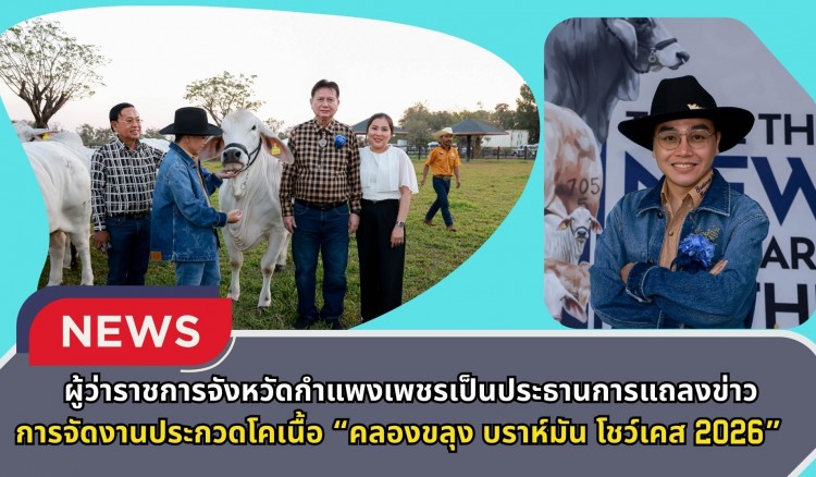 กำแพงเพชร-ผู้ว่าราชการจังหวัดกำแพงเพชรเป็นประธานการแถลงข่าวการจัดงานประกวดโคเนื้อ คลองขลุง บราห์มัน โชว์เคส 2026 ชิงถ้วยพระราชทาน สมเด็จพระกนิษฐาธิราชเจ้า กรมสมเด็จพระเทพรัตนราชสุดาฯ สยามบรมราชกุมารี