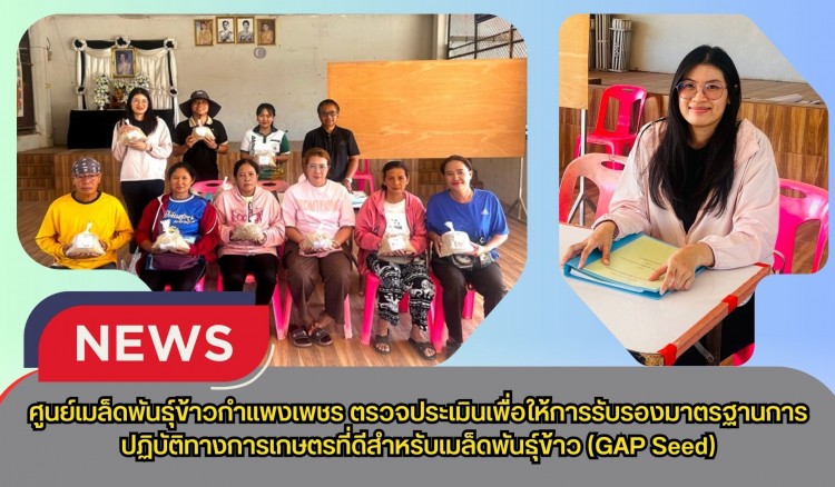 กำแพงเพชร-ศูนย์เมล็ดพันธุ์ข้าวกำแพงเพชร ตรวจประเมินเพื่อให้การรับรองมาตรฐานการปฏิบัติทางการเกษตรที่ดีสำหรับเมล็ดพันธุ์ข้าว (GAP Seed)