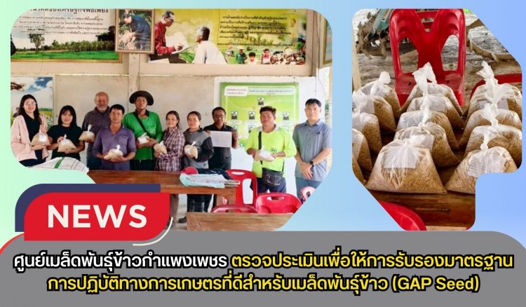 กำแพงเพชร-ศูนย์เมล็ดพันธุ์ข้าวกำแพงเพชร ตรวจประเมินเพื่อให้การรับรองมาตรฐานการปฏิบัติทางการเกษตรที่ดีสำหรับเมล็ดพันธุ์ข้าว (GAP Seed)