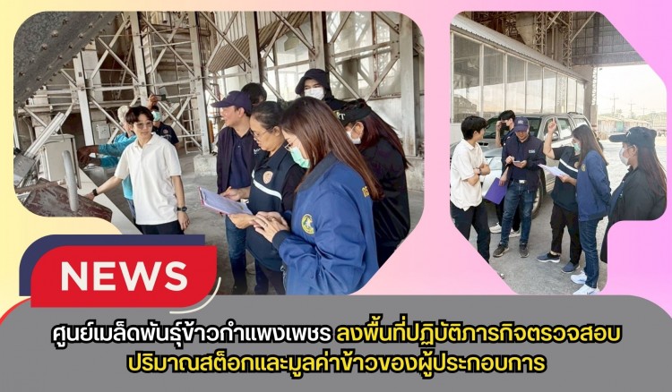 กำแพงเพชร-ศูนย์เมล็ดพันธุ์ข้าวกำแพงเพชร ลงพื้นที่ปฏิบัติภารกิจตรวจสอบปริมาณสต็อกและมูลค่าข้าวของผู้ประกอบการ