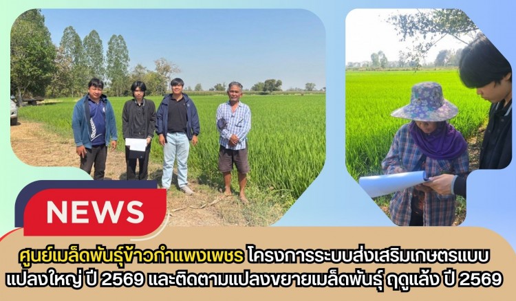 กำแพงเพชร-ศูนย์เมล็ดพันธุ์ข้าวกำแพงเพชร โครงการระบบส่งเสริมเกษตรแบบแปลงใหญ่ ปี 2569 และติดตามแปลงขยายเมล็ดพันธุ์ ฤดูแล้ง ปี 2569