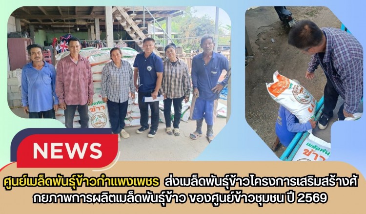 กำแพงเพชร-ศูนย์เมล็ดพันธุ์ข้าวกำแพงเพชร ส่งเมล็ดพันธุ์ข้าวโครงการเสริมสร้างศักยภาพการผลิตเมล็ดพันธุ์ข้าวของศูนย์ข้าวชุมชน ปี2569