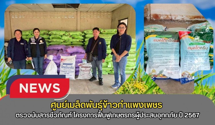 กำแพงเพชร-ศูนย์เมล็ดพันธุ์ข้าวกำแพงเพชร ตรวจนับสารชีวภัณฑ์ ปุ๋ยอินทรีย์เหลว (ชนิดน้ำ) และปุ๋ยเคมี โครงการฟื้นฟูเกษตรกรผู้ประสบอุทกภัย ปี 2567