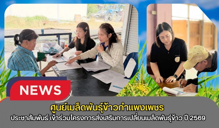 กำแพงเพชร-ศูนย์เมล็ดพันธุ์ข้าวกำแพงเพชร ประชาสัมพันธ์และรับสมัครเกษตรกรเข้าร่วมโครงการส่งเสริมการเปลี่ยนเมล็ดพันธุ์ข้าว ปี 2569