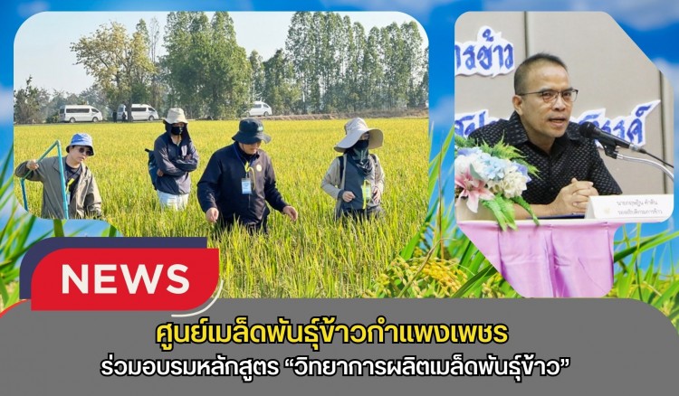 กำแพงเพชร-ศูนย์เมล็ดพันธุ์ข้าวกำแพงเพชร ร่วมอบรมหลักสูตร “วิทยาการผลิตเมล็ดพันธุ์ข้าว” ณ โรงแรมแกรนด์ฮิลล์ รีสอร์ท แอนด์สปา จังหวัดนครสวรรค์