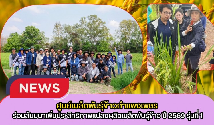 กำแพงเพชร-ศูนย์เมล็ดพันธุ์ข้าวกำแพงเพชร ร่วมสัมมนาเพิ่มประสิทธิภาพแปลงผลิตเมล็ดพันธุ์ข้าว ปี 2569 รุ่นที่ 1
