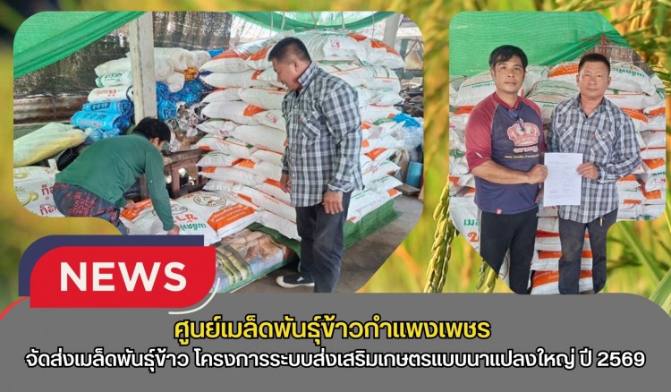 กำแพงเพชร-ศูนย์เมล็ดพันธุ์ข้าวกำแพงเพชร จัดส่งเมล็ดพันธุ์ข้าว โครงการระบบส่งเสริมเกษตรแบบนาแปลงใหญ่ ปี 2569