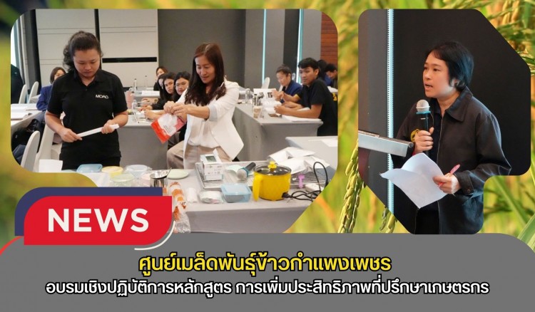 กำแพงเพชร-ศูนย์เมล็ดพันธุ์ข้าวกำแพงเพชร อบรมเชิงปฏิบัติการหลักสูตร การเพิ่มประสิทธิภาพที่ปรึกษาเกษตรกรสำหรับระบบควบคุมภายใน