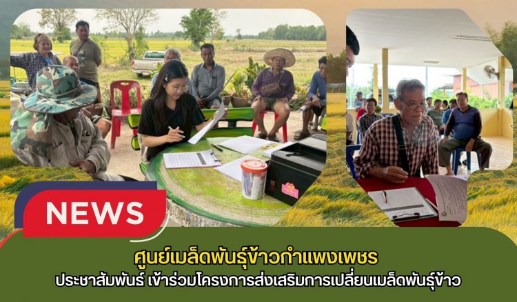 กำแพงเพชร-ศูนย์เมล็ดพันธุ์ข้าวกำแพงเพชร ประชาสัมพันธ์ และรับสมัครเกษตรกรเข้าร่วมโครงการส่งเสริมการเปลี่ยนเมล็ดพันธุ์ข้าว