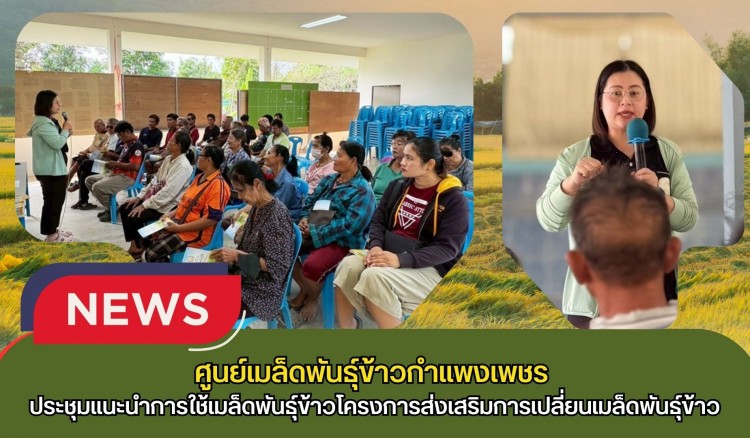 กำแพงเพชร-ศูนย์เมล็ดพันธุ์ข้าวกำแพงเพชร ประชุมแนะนำการใช้เมล็ดพันธุ์ข้าวโครงการส่งเสริมการเปลี่ยนเมล็ดพันธุ์ข้าว ปี 2569
