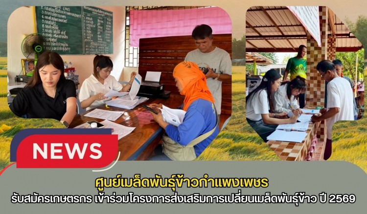 กำแพงเพชร-ศูนย์เมล็ดพันธุ์ข้าวกำแพงเพชร ประชาสัมพันธ์ และรับสมัครเกษตรกรเข้าร่วมโครงการส่งเสริมการเปลี่ยนเมล็ดพันธุ์ข้าว ปี 2569