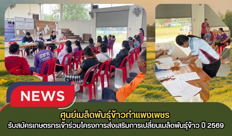กำแพงเพชร-ศูนย์เมล็ดพันธุ์ข้าวกำแพงเพชร ประชาสัมพันธ์ และรับสมัครเกษตรกรเข้าร่วมโครงการส่งเสริมการเปลี่ยนเมล็ดพันธุ์ข้าว ปี 2569
