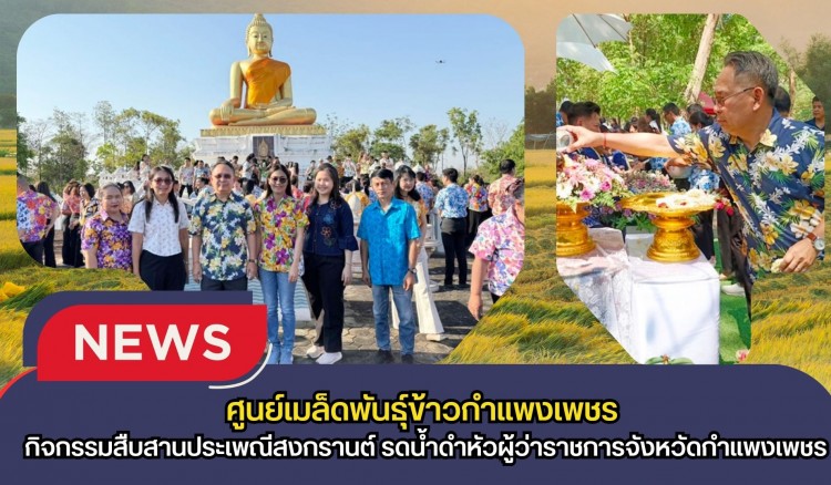 กำแพงเพชร-ศูนย์เมล็ดพันธุ์ข้าวกำแพงเพชร ร่วมกิจกรรมสืบสานประเพณีสงกรานต์ รดน้ำดำหัวผู้ว่าราชการจังหวัดกำแพงเพชร