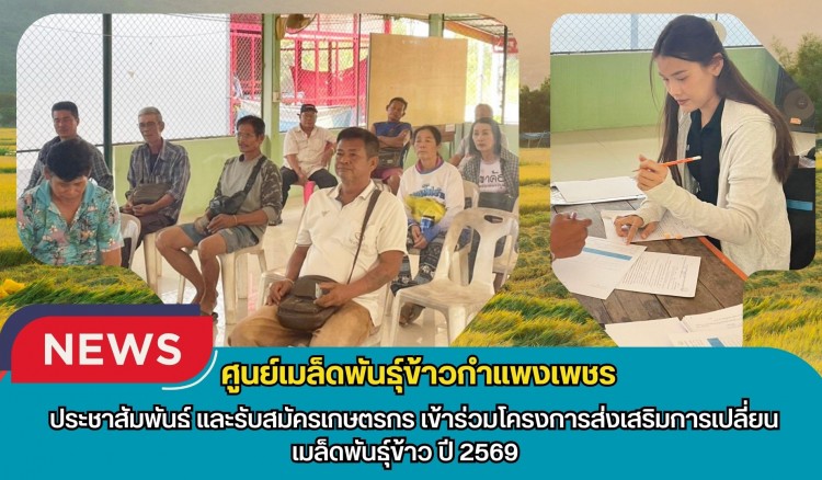 กำแพงเพชร-ศูนย์เมล็ดพันธุ์ข้าวกำแพงเพชร ประชาสัมพันธ์ และรับสมัครเกษตรกรเข้าร่วมโครงการส่งเสริมการเปลี่ยนเมล็ดพันธุ์ข้าว ปี 2569