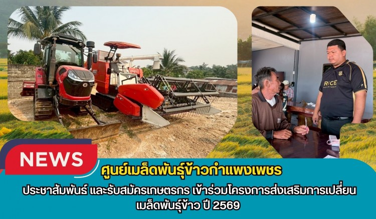กำแพงเพชร-ศูนย์เมล็ดพันธุ์ข้าวกำแพงเพชร ประชาสัมพันธ์ และรับสมัครเกษตรกรเข้าร่วมโครงการส่งเสริมการเปลี่ยนเมล็ดพันธุ์ข้าว ปี 2569