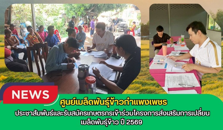 กำแพงเพชร-ศูนย์เมล็ดพันธุ์ข้าวกำแพงเพชร ประชาสัมพันธ์และรับสมัครเกษตรกรเข้าร่วมโครงการส่งเสริมการเปลี่ยนเมล็ดพันธุ์ข้าว ปี 2569