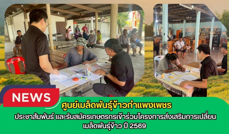 กำแพงเพชร-ศูนย์เมล็ดพันธุ์ข้าวกำแพงเพชร ประชาสัมพันธ์ และรับสมัครเกษตรกรเข้าร่วมโครงการส่งเสริมการเปลี่ยนเมล็ดพันธุ์ข้าว ปี 2569