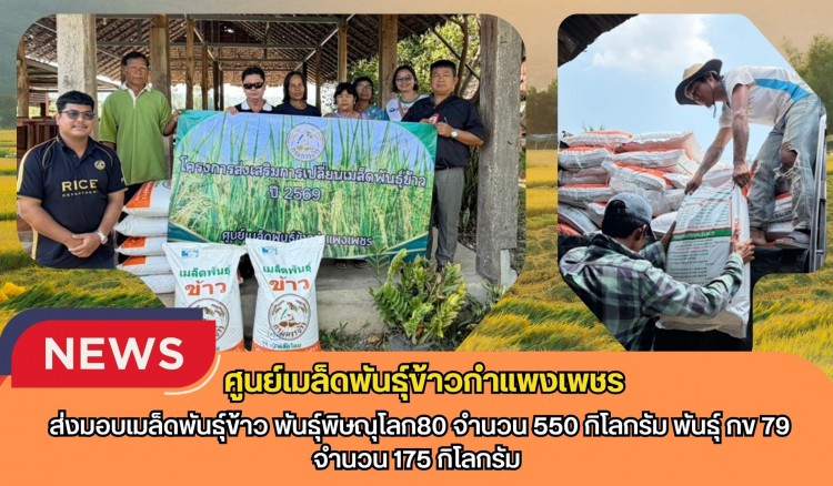 กำแพงเพชร-ศูนย์เมล็ดพันธุ์ข้าวกำแพงเพชร ส่งมอบเมล็ดพันธุ์ข้าว พันธุ์พิษณุโลก80 จำนวน 550 กิโลกรัม พันธุ์ กข 79 จำนวน 175 กิโลกรัม