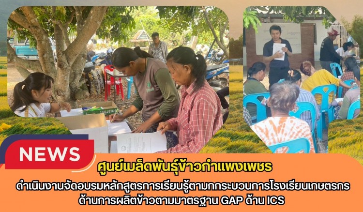 กำแพงเพชร-ศูนย์เมล็ดพันธุ์ข้าวกำแพงเพชร ดำเนินงานจัดอบรมหลักสูตรการเรียนรู้ตามกกระบวนการโรงเรียนเกษตรกรด้านการผลิตข้าวตามมาตรฐาน GAP ด้าน ICS