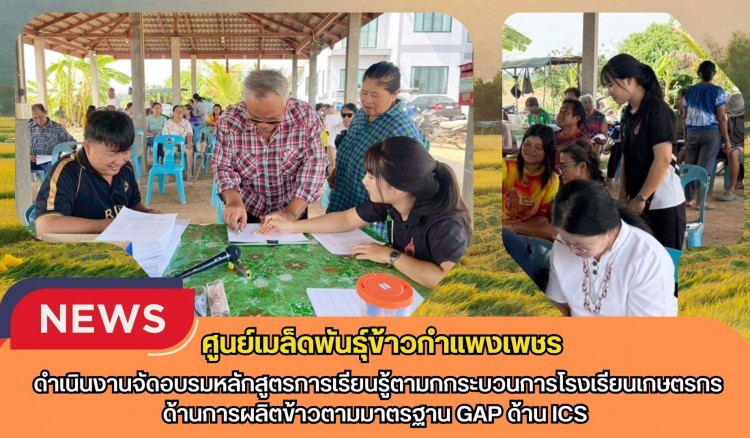 กำแพงเพชร-ศูนย์เมล็ดพันธุ์ข้าวกำแพงเพชร ดำเนินงานจัดอบรมหลักสูตรการเรียนรู้ตามกกระบวนการโรงเรียนเกษตรกรด้านการผลิตข้าวตามมาตรฐาน GAP ด้าน ICS