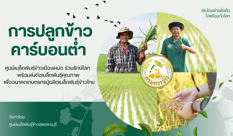ศูนย์เมล็ดพันธุ์ข้าวสุพรรณบุรี จัดการส่งเสริมการจัดทำแปลงผลิตเมล็ดพันธุ์ข้าวด้วยวิธีการปลูกข้าวคาร์บอนต่ำ เพื่อลดผลกระทบ ต่อสิ่งแวดล้อม