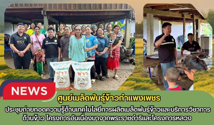 กำแพงเพชร-ศูนย์เมล็ดพันธุ์ข้าวกำเเพงเพชร จัดประชุมถ่ายทอดความรู้ด้านเทคโนโลยีการผลิตเมล็ดพันธุ์ข้าวและบริการวิชาการด้านข้าว