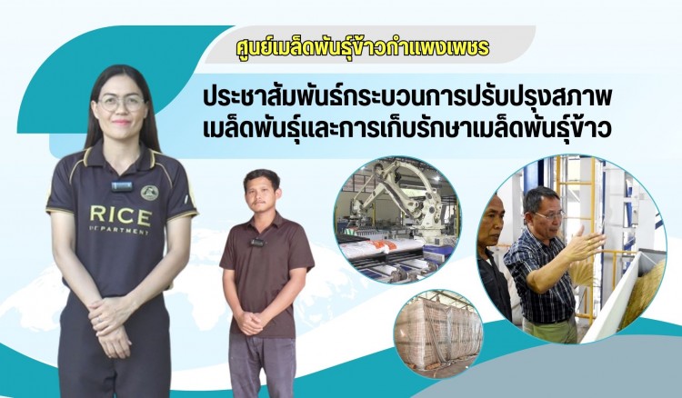 กำแพงเพชร-ศูนย์เมล็ดพันธุ์ข้าวกำแพงเพชร ประชาสัมพันธ์กระบวนการปรับปรุงสภาพเมล็ดพันธุ์ข้าว และการเก็บรักษาเมล็ดพันธุ์ข้าว 