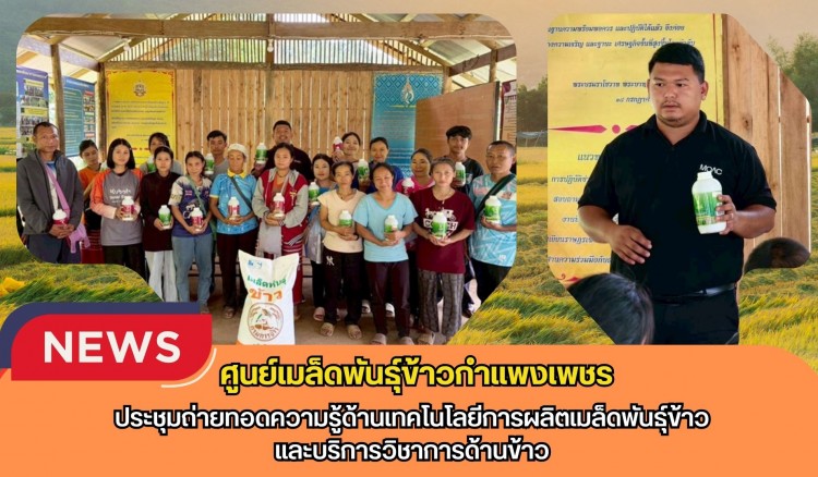 กำแพงเพชร-ศูนย์เมล็ดพันธุ์ข้าวกำแพงเพชร ประชุมถ่ายทอดความรู้ด้านเทคโนโลยีการผลิตเมล็ดพันธุ์ข้าว และบริการวิชาการด้านข้าว