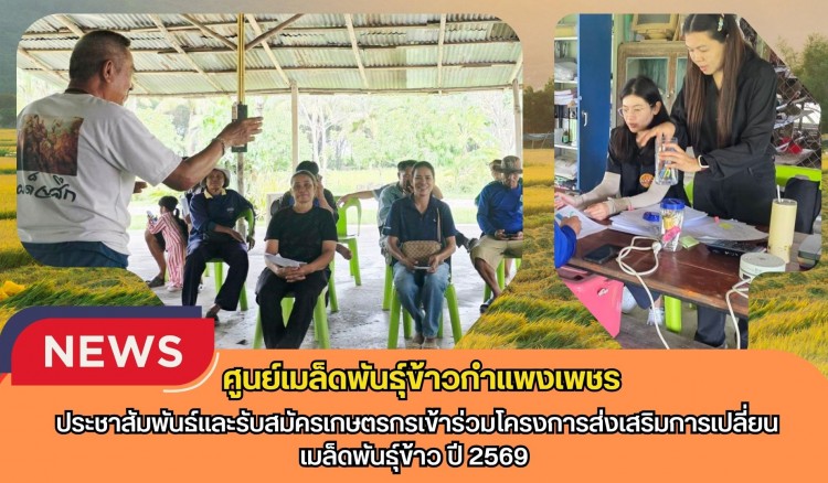 กำแพงเพชร-ศูนย์เมล็ดพันธุ์ข้าวกำแพงเพชร ประชาสัมพันธ์และรับสมัครเกษตรกรเข้าร่วมโครงการส่งเสริมการเปลี่ยนเมล็ดพันธุ์ข้าว ปี 2569