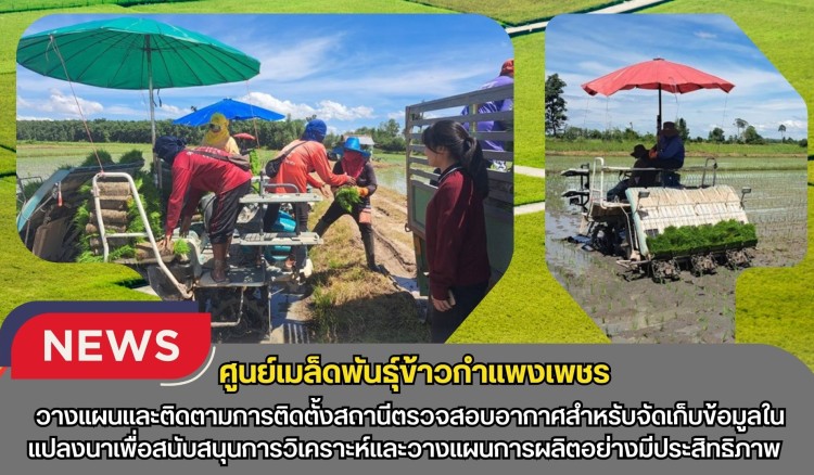 กำแพงเพชร-ศูนย์เมล็ดพันธุ์ข้าวกำแพงเพชร วางแผนและติดตามการติดตั้งสถานีตรวจสอบอากาศสำหรับจัดเก็บข้อมูลในแปลงนา