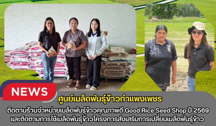 กำแพงเพชร-ศูนย์เมล็ดพันธุ์ข้าวกำแพงเพชร ติดตามร้านจำหน่ายเมล็ดพันธุ์ข้าวคุณภาพดี Good Rice Seed Shop ปี 2569