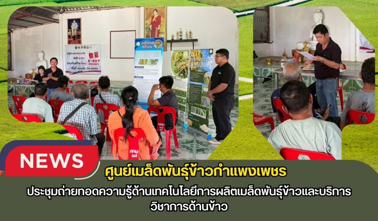 กำแพงเพชร-ศูนย์เมล็ดพันธุ์ข้าวกำแพงเพชร ประชุมถ่ายทอดความรู้ด้านเทคโนโลยีการผลิตเมล็ดพันธุ์ข้าวและบริการวิชาการด้านข้าว