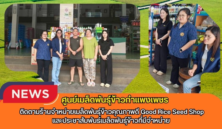 กำแพงเพชร-ศูนย์เมล็ดพันธุ์ข้าวกำแพงเพชร ติดตามร้านจำหน่ายเมล็ดพันธุ์ข้าวคุณภาพดี Good Rice Seed Shopและประชาสัมพันธ์เมล็ดพันธุ์ข้าวที่มีจำหน่าย