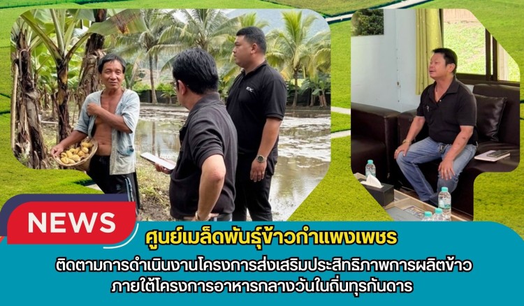 กำแพงเพชร-ศูนย์เมล็ดพันธุ์ข้าวกำแพงเพชร ติดตามการดำเนินงานโครงการส่งเสริมประสิทธิภาพการผลิตข้าว ภายใต้โครงการอาหารกลางวันในถิ่นทุรกันดาร