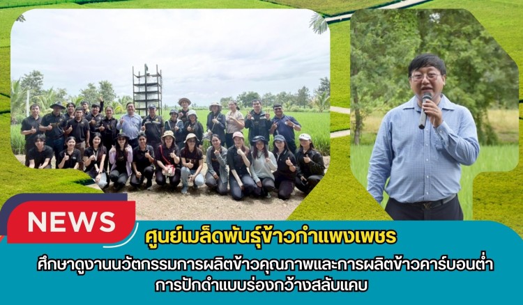 กำแพงเพชร-ศูนย์เมล็ดพันธุ์ข้าวกำแพงเพชร ศึกษาดูงานนวัตกรรมการผลิตข้าวคุณภาพและการผลิตข้าวคาร์บอนต่ำ การปักดำแบบร่องกว้างสลับแคบ