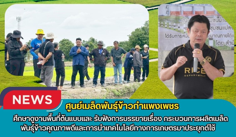 กำแพงเพชร-ศูนย์เมล็ดพันธุ์ข้าวกำแพงเพชร ศึกษาดูงานพื้นที่ต้นแบบและ รับฟังการบรรยายเรื่อง กระบวนการผลิตเมล็ดพันธุ์ข้าวคุณภาพดีและการนำเทคโนโลยีทางการเกษตรมาประยุกต์ใช้