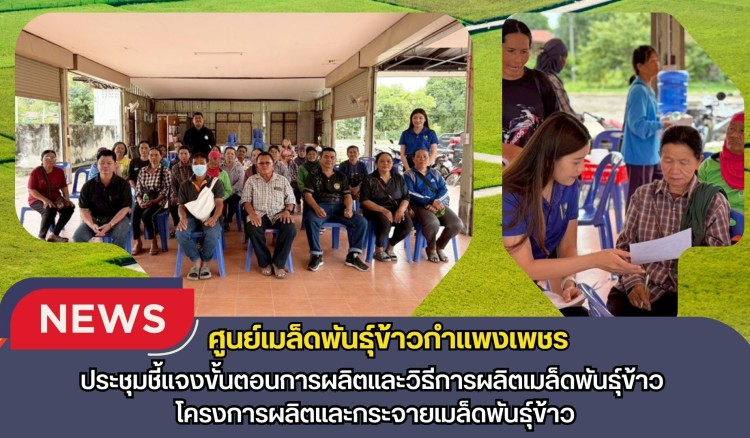 กำแพงเพชร-ศูนย์เมล็ดพันธุ์ข้าวกำแพงเพชร ประชุมชี้แจงขั้นตอนการผลิตและวิธีการผลิตเมล็ดพันธุ์ข้าว โครงการผลิตและกระจายเมล็ดพันธุ์ข้าว