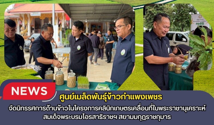 กำแพงเพชร-ศูนย์เมล็ดพันธุ์ข้าวกำแพงเพชร จัดนิทรรศการด้านข้าวในโครงการคลินิกเกษตรเคลื่อนที่ในพระราชานุเคราะห์ สมเด็จพระบรมโอรสาธิราชฯ สยามมกุฎราชกุมาร