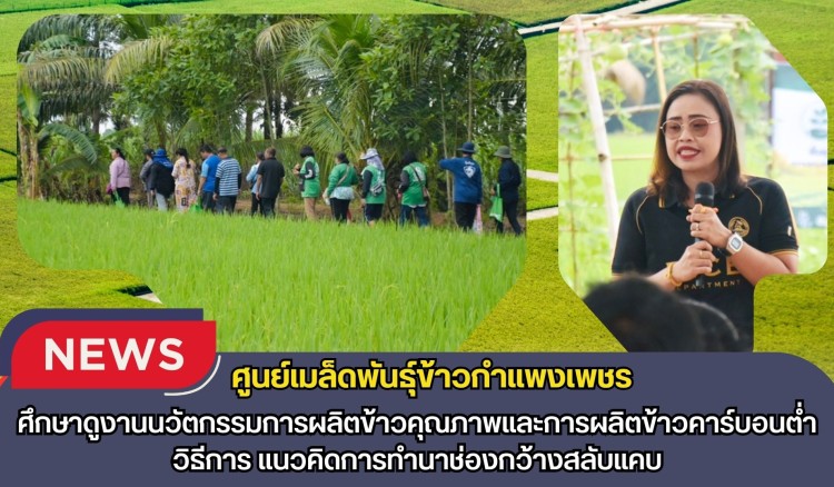 กำแพงเพชร-ศูนย์เมล็ดพันธุ์ข้าวกำแพงเพชร ศึกษาดูงานนวัตกรรมการผลิตข้าวคุณภาพและการผลิตข้าวคาร์บอนต่ำ วิธีการ แนวคิดการทำนาช่องกว้างสลับแคบ