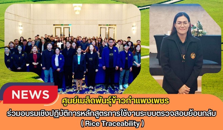 กำแพงเพชร-ศูนย์เมล็ดพันธุ์ข้าวกำแพงเพชร ร่วมอบรมเชิงปฏิบัติการหลักสูตรการใช้งานระบบตรวจสอบย้อนกลับ ( Rice Traceability )