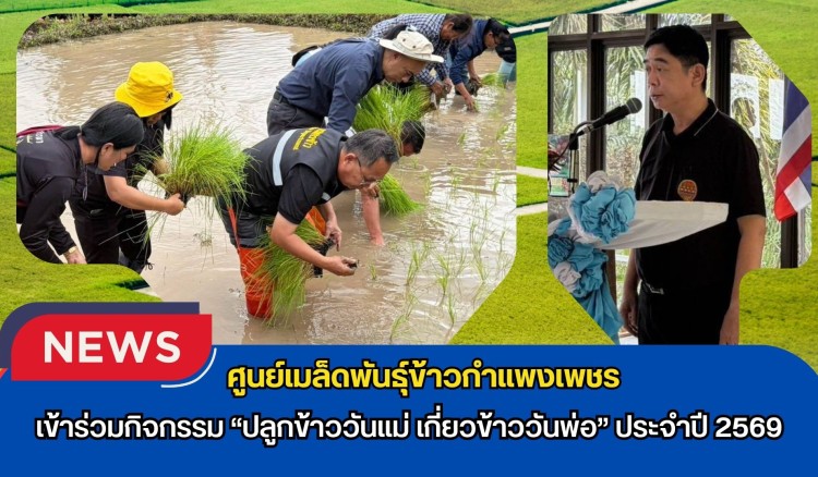 กำแพงเพชร-ศูนย์เมล็ดพันธุ์ข้าวกำแพงเพชร เข้าร่วมกิจกรรม “ปลูกข้าววันแม่ เกี่ยวข้าววันพ่อ” ประจำปี 2569