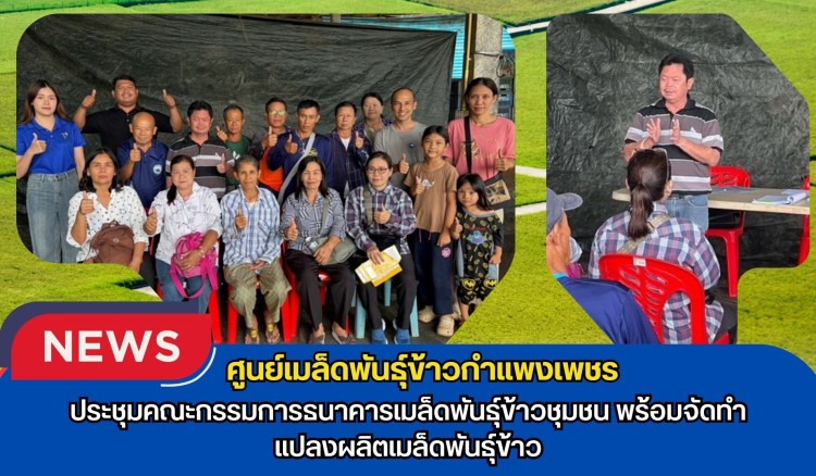 กำแพงเพชร-ศูนย์เมล็ดพันธุ์ข้าวกำแพงเพชร ประชุมคณะกรรมการธนาคารเมล็ดพันธุ์ข้าวชุมชน พร้อมจัดทำแปลงผลิตเมล็ดพันธุ์ข้าว