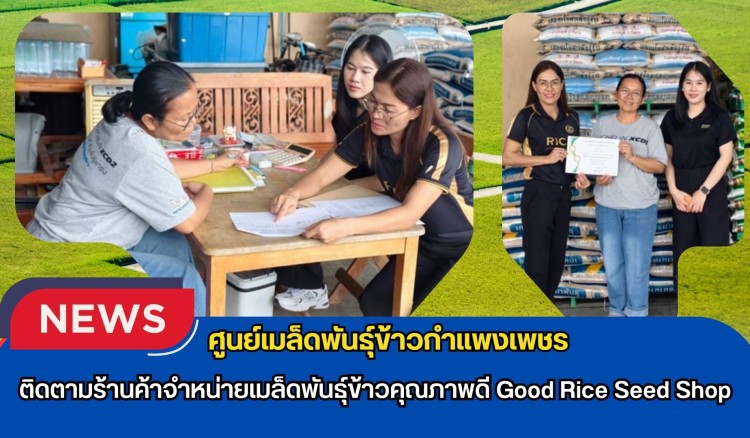 กำแพงเพชร-ศูนย์เมล็ดพันธุ์ข้าวกำแพงเพชร ติดตามร้านค้าจำหน่ายเมล็ดพันธุ์ข้าวคุณภาพดี Good Rice Seed Shop