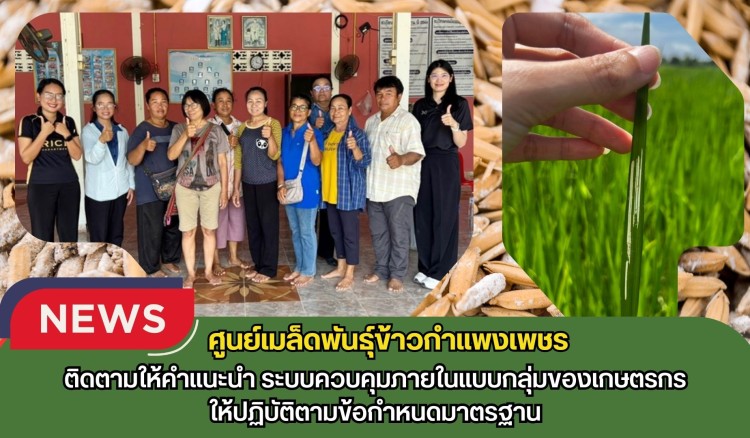 กำแพงเพชร-ศูนย์เมล็ดพันธุ์ข้าวกำแพงเพชร ติดตามให้คำแนะนำ ระบบควบคุมภายในแบบกลุ่มของเกษตรกรให้ปฏิบัติตามข้อกำหนดมาตรฐาน
