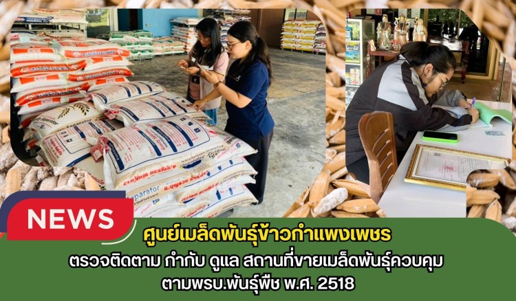 กำแพงเพชร-ศูนย์เมล็ดพันธุ์ข้าวกำแพงเพชร ตรวจติดตาม กำกับ ดูแล สถานที่ขายเมล็ดพันธุ์ควบคุม ตามพรบ.พันธุ์พืช พ.ศ. 2518