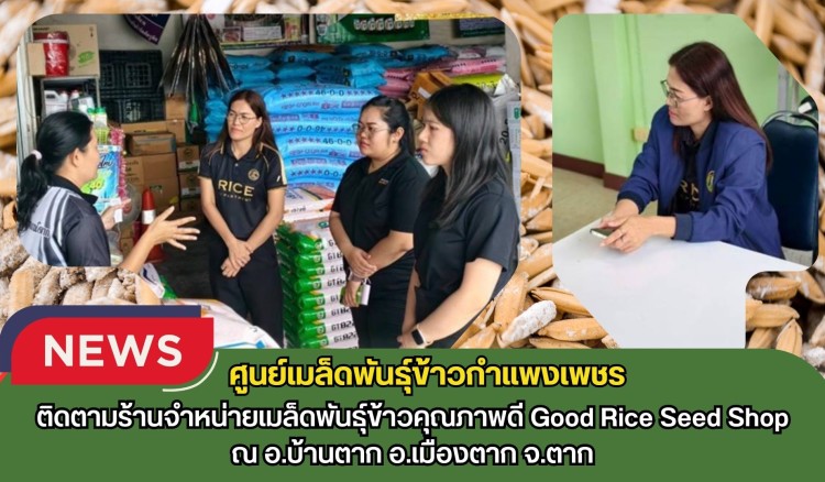 กำแพงเพชร-ศูนย์เมล็ดพันธุ์ข้าวกำแพงเพชร ติดตามร้านจำหน่ายเมล็ดพันธุ์ข้าวคุณภาพดี Good Rice Seed Shop