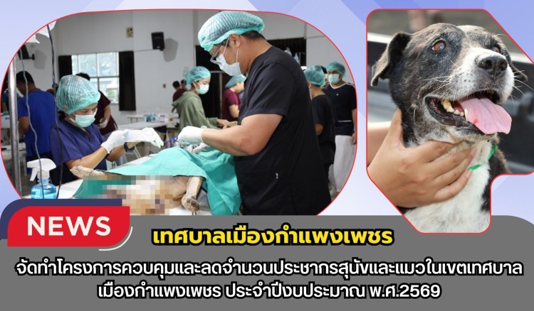 กำแพงเพชร-เทศบาลเมืองกำแพงเพชร จัดทำโครงการควบคุมและลดจำนวนประชากรสุนัขและแมวในเขตเทศบาลเมืองกำแพงเพชร ประจำปีงบประมาณ พ.ศ.2569