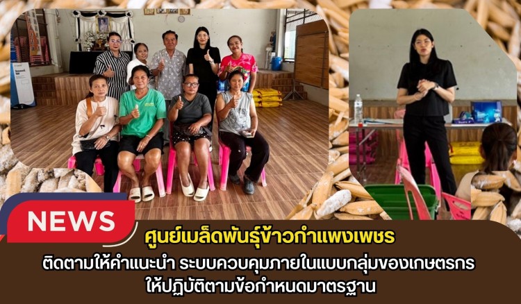 กำแพงเพชร-ศูนย์เมล็ดพันธุ์ข้าวกำแพงเพชร ติดตามให้คำแนะนำ ระบบควบคุมภายในแบบกลุ่มของเกษตรกร ให้ปฏิบัติตามข้อกำหนดมาตรฐาน